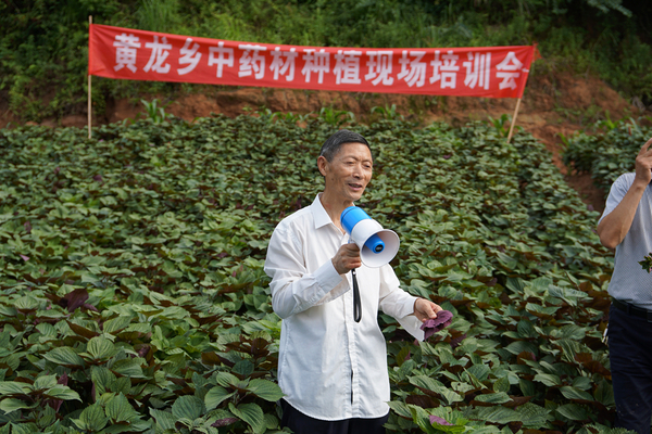 陳尚興 廣元黃龍中藥材培訓(xùn)20190621A_副本.jpg
