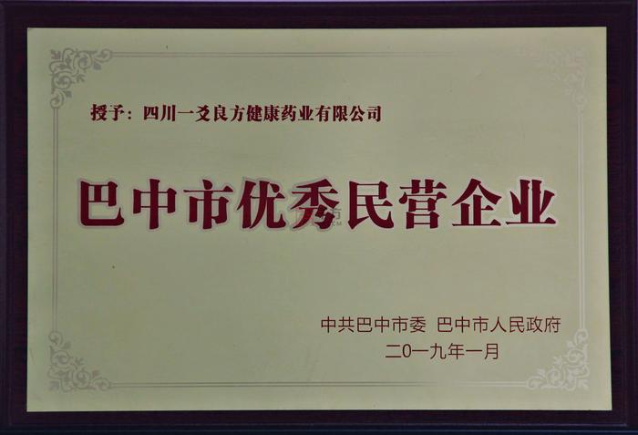巴中市優(yōu)秀民營企業(yè).jpg
