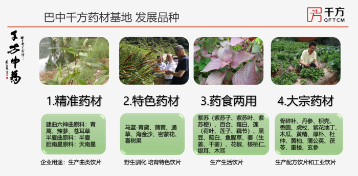 巴中千方藥材基地發(fā)展品種方案.PNG